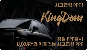 핵사이머 PPF 광고 배너