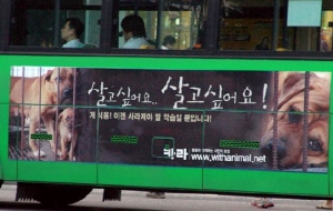 제품이미지